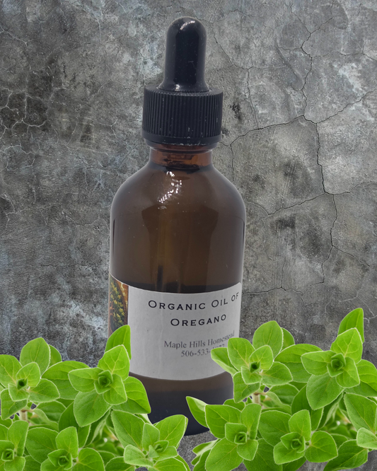 Oil of Oregano