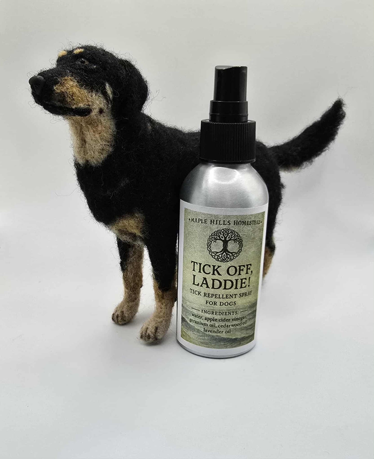 Tick Off, Laddie!